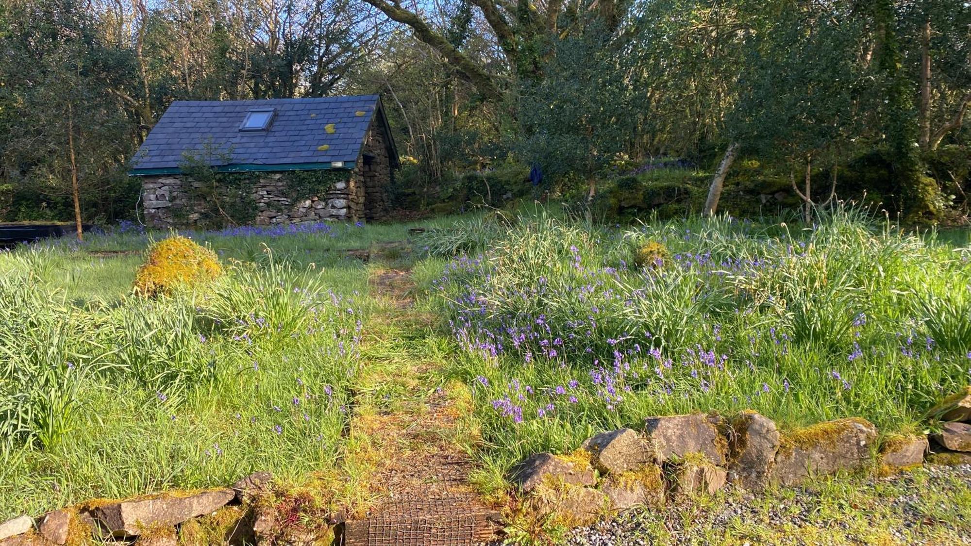 Sligo Forest Retreat Ngoại thất bức ảnh