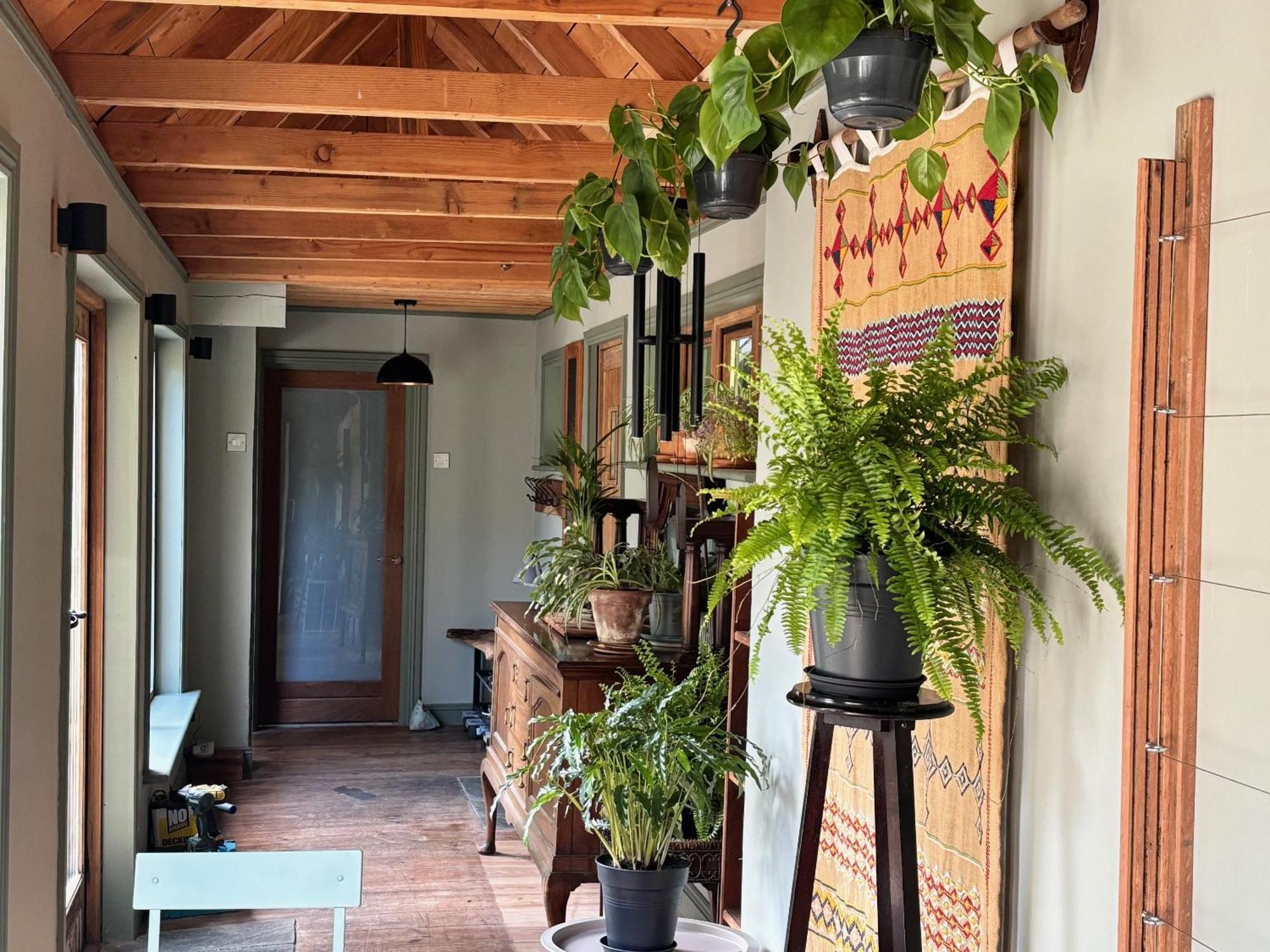 Sligo Forest Retreat Ngoại thất bức ảnh