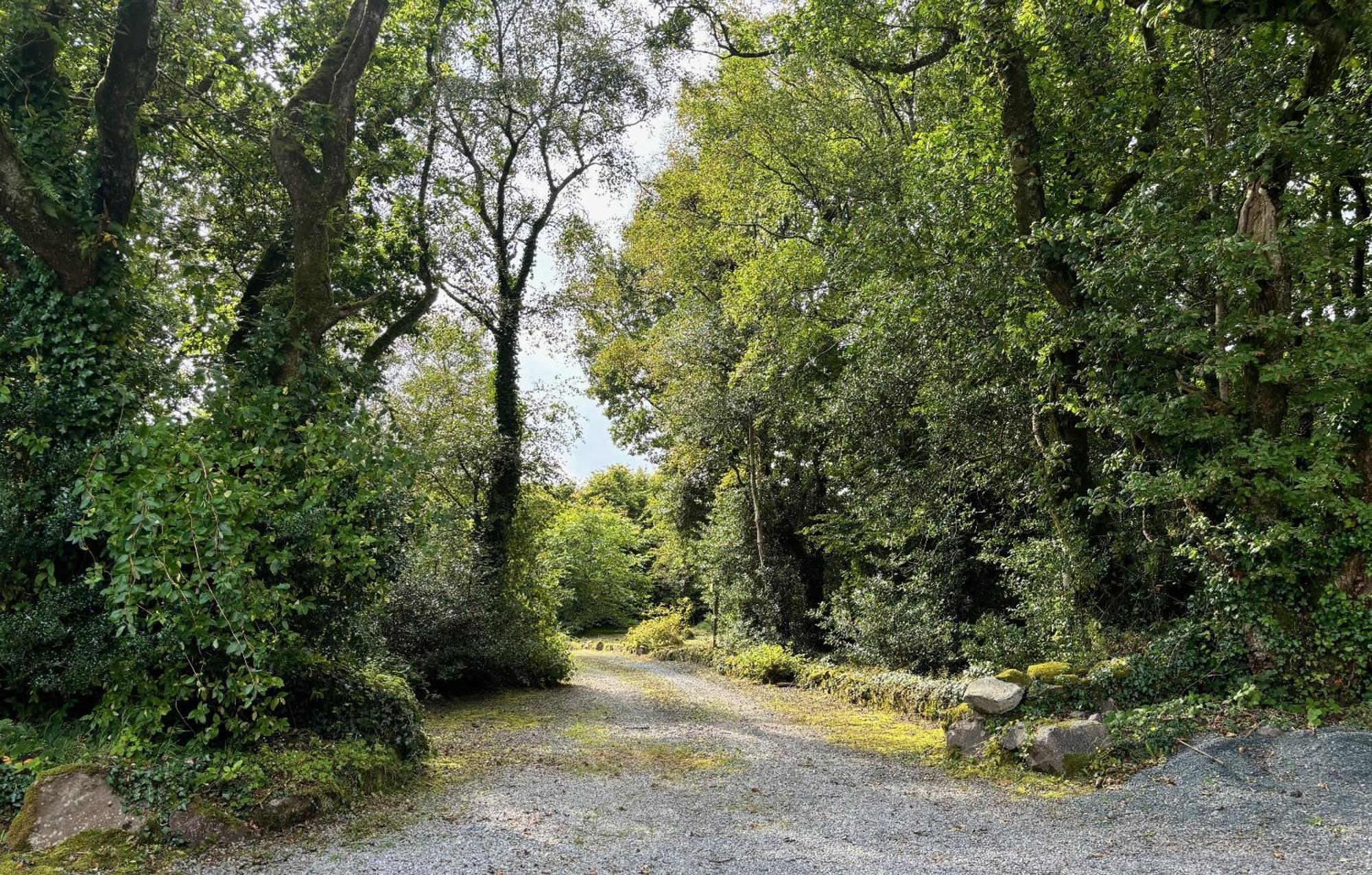 Sligo Forest Retreat Ngoại thất bức ảnh