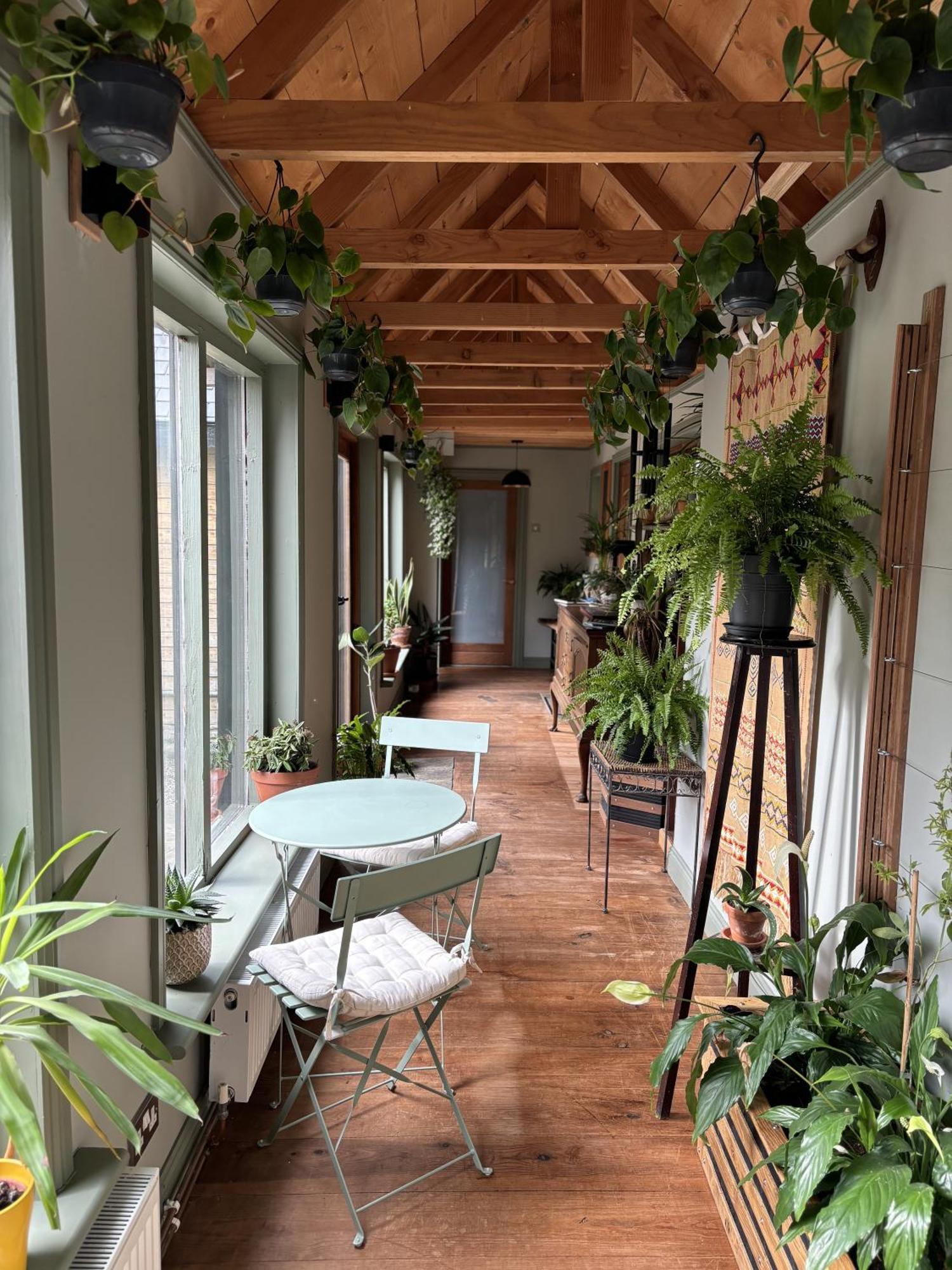 Sligo Forest Retreat Ngoại thất bức ảnh